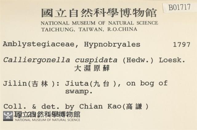 Accession Number:B00001717 Collection Image, Figure 2, Total 2 Figures