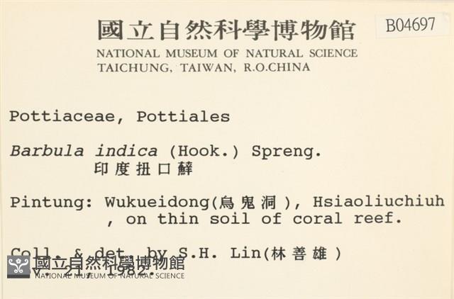 印度扭口蘚藏品圖，第2張