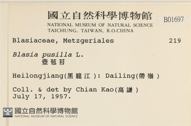 壺苞苔藏品圖，第2張