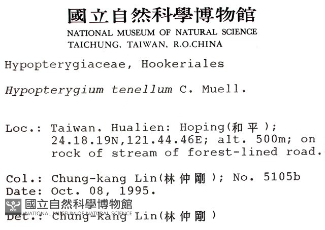 南亞孔雀蘚藏品圖，第2張