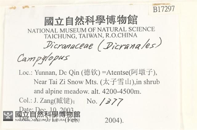 登錄號:B00017297藏品圖，第2張