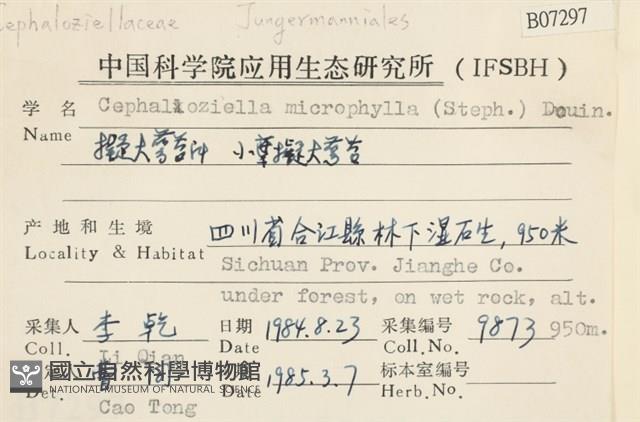 登錄號:B00007297藏品圖，第2張