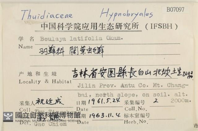 闊葉虫毛蘚藏品圖，第2張