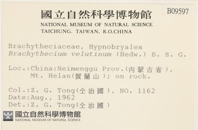 Accession Number:B00009597 Collection Image, Figure 2, Total 2 Figures