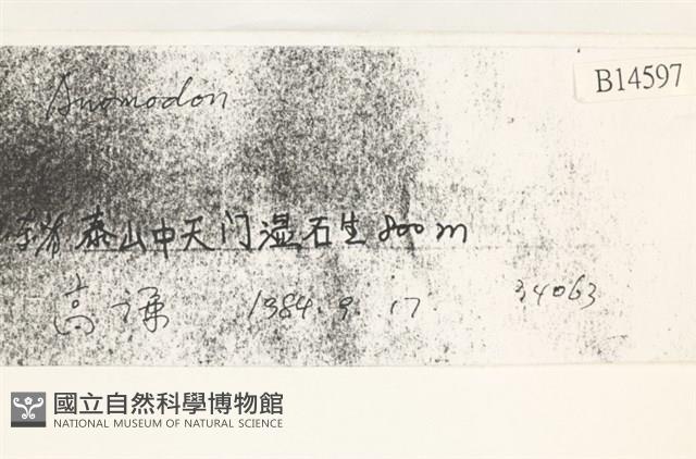 登錄號:B00014597藏品圖，第2張