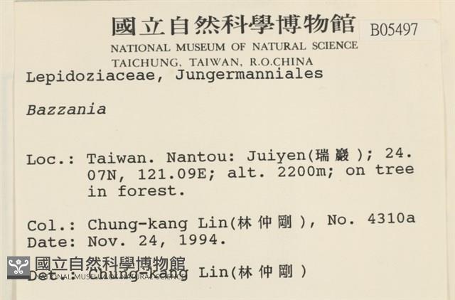 登錄號:B00005497藏品圖，第2張