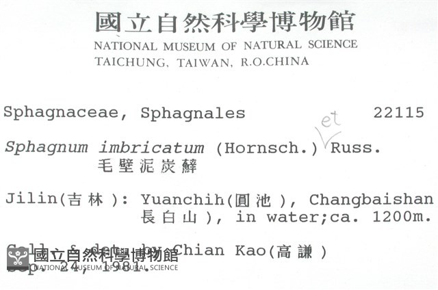 覆葉泥炭蘚, 毛壁泥炭蘚藏品圖，第2張