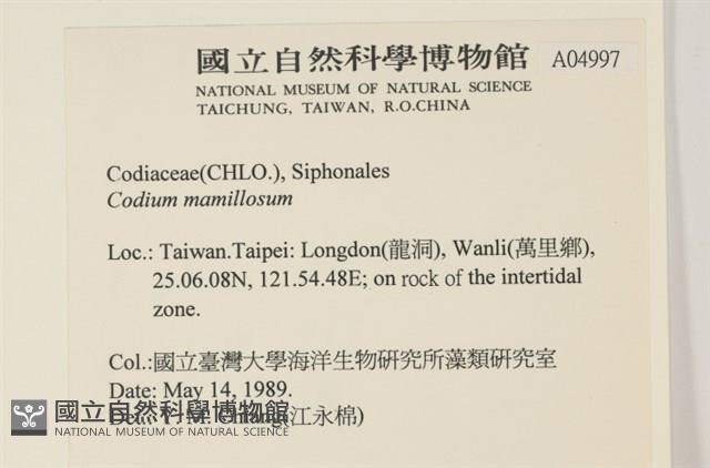 登錄號:A00004997藏品圖，第2張