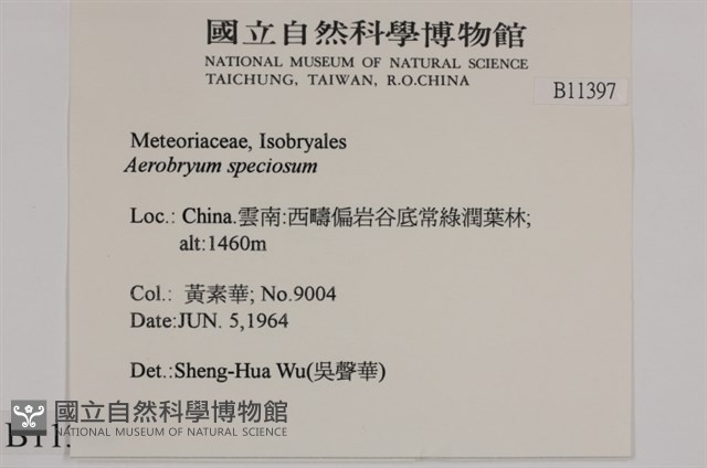 登錄號:B00011397藏品圖，第2張