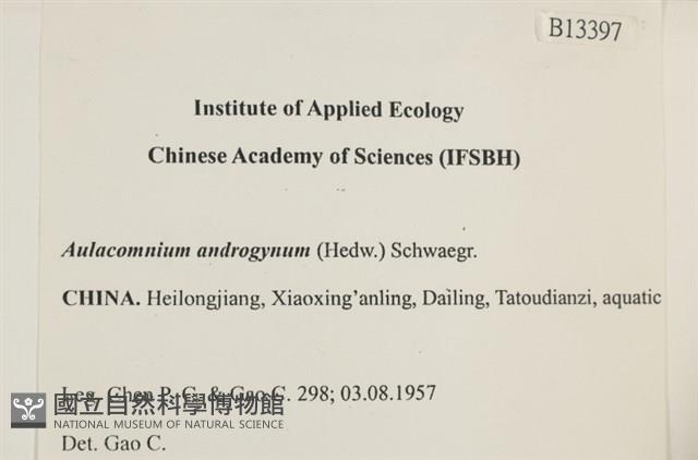 登錄號:B00013397藏品圖，第2張
