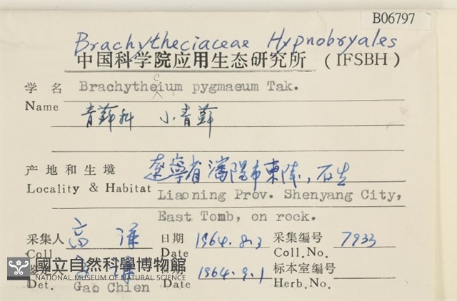 小青蘚藏品圖，第2張