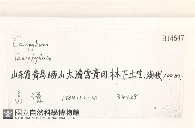 登錄號:B00014647藏品圖，第2張