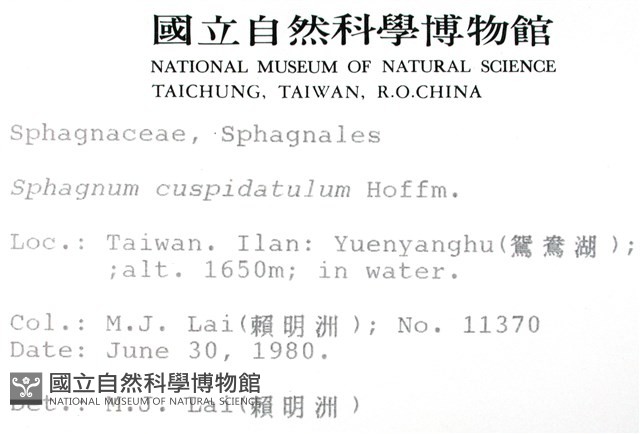 登錄號:B00003647藏品圖，第2張