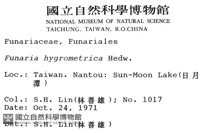 葫蘆蘚藏品圖，第2張