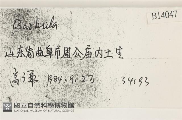 登錄號:B00014047藏品圖，第2張