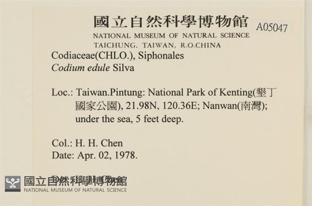 登錄號:A00005047藏品圖，第2張