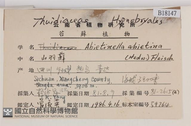山羽蘚藏品圖，第2張