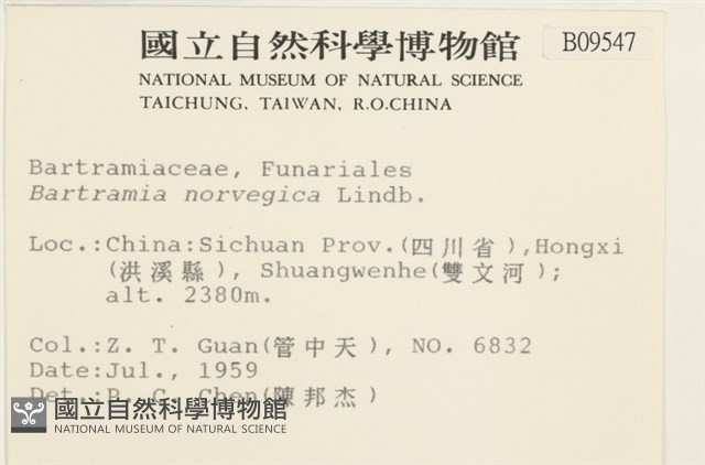 挪威珠蘚藏品圖，第2張