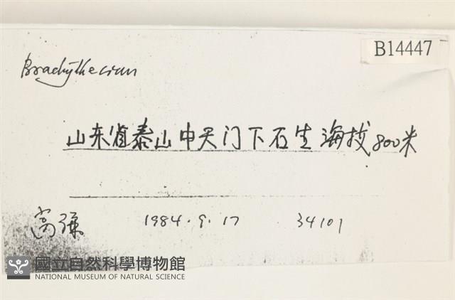 登錄號:B00014447藏品圖，第2張