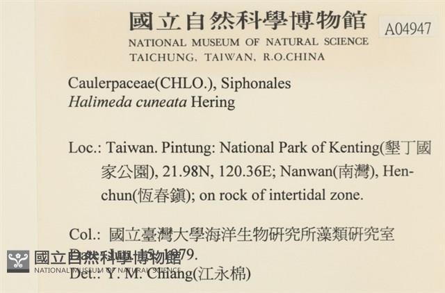 登錄號:A00004947藏品圖，第2張