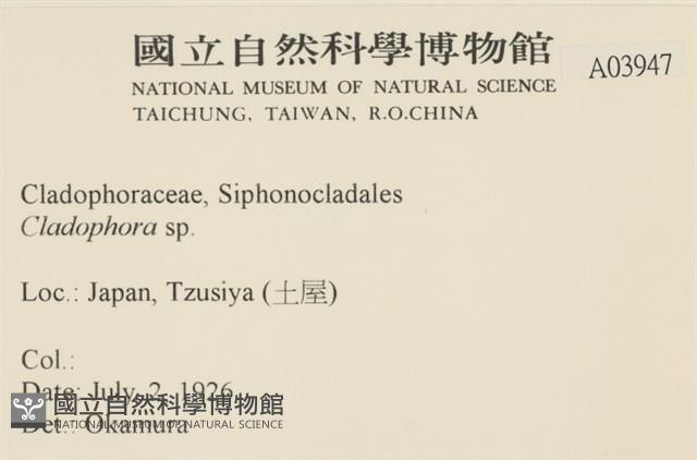 登錄號:A00003947藏品圖，第2張