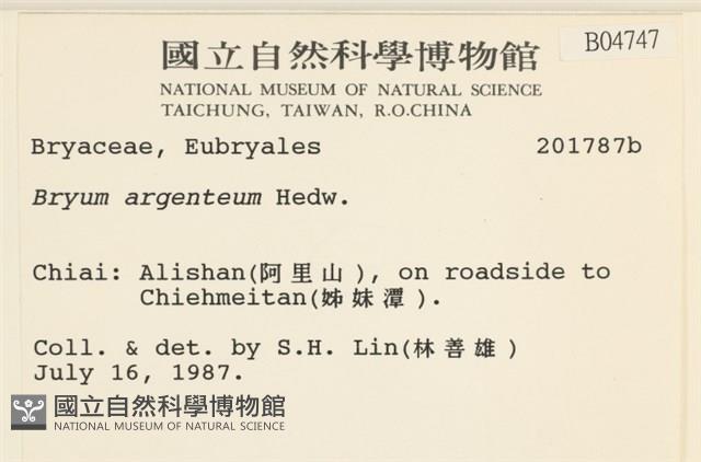 真蘚藏品圖，第2張