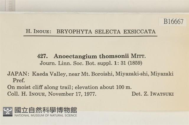 索氏叢本蘚藏品圖，第2張
