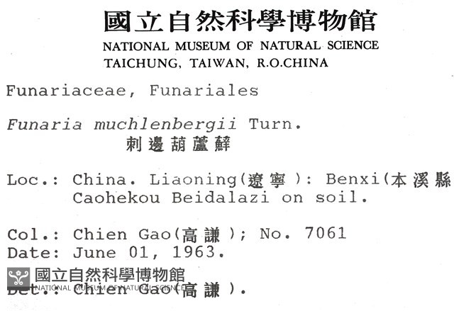 刺邊葫蘆蘚藏品圖，第2張