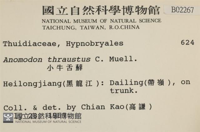 碎葉牛舌蘚藏品圖，第2張