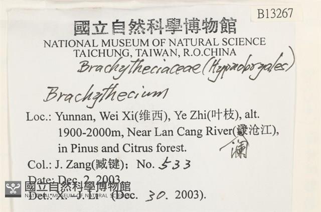 登錄號:B00013267藏品圖，第2張