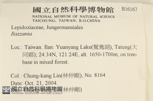登錄號:B00016167藏品圖，第2張