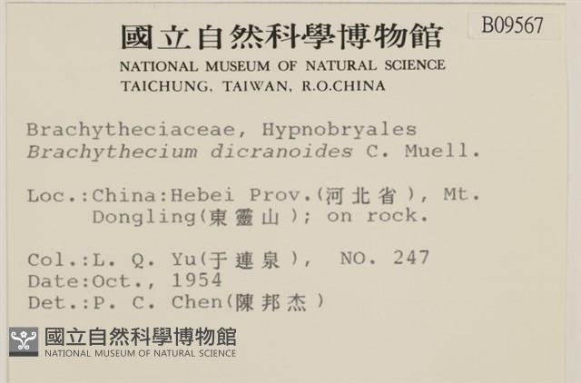 登錄號:B00009567藏品圖，第2張