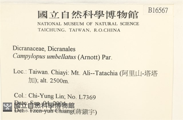 登錄號:B00016567藏品圖，第2張