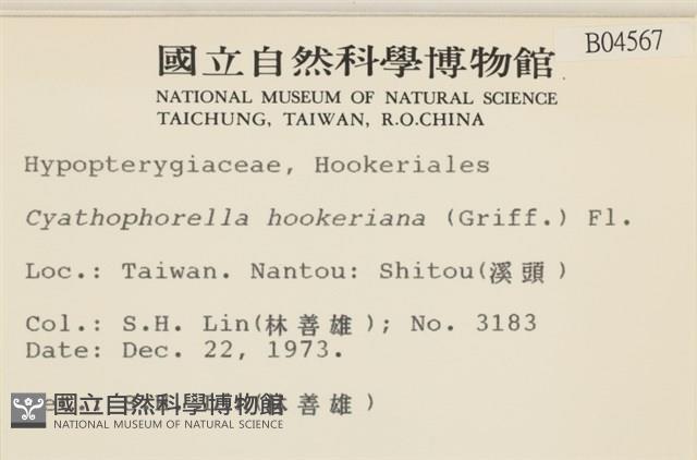 登錄號:B00004567藏品圖，第2張