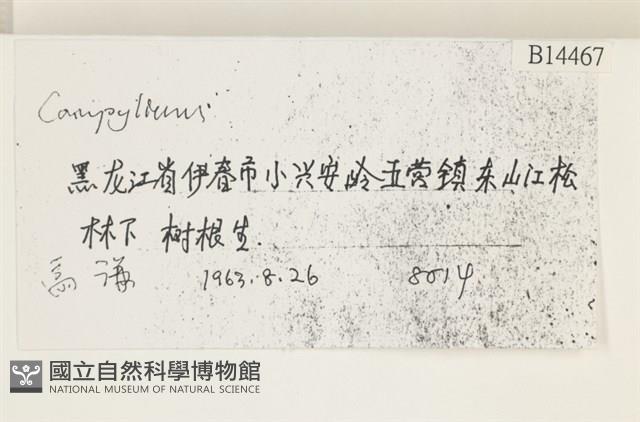 登錄號:B00014467藏品圖，第2張