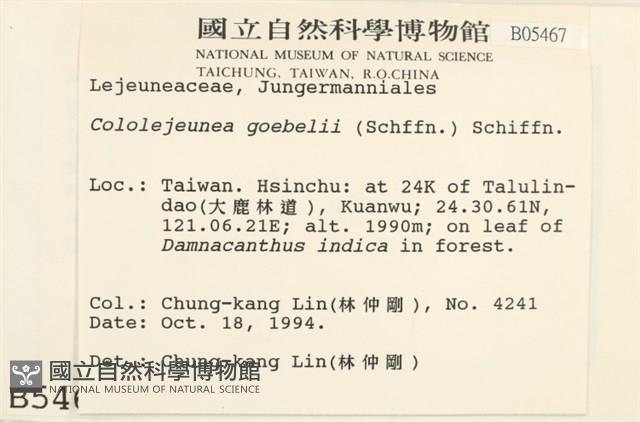 登錄號:B00005467藏品圖，第2張