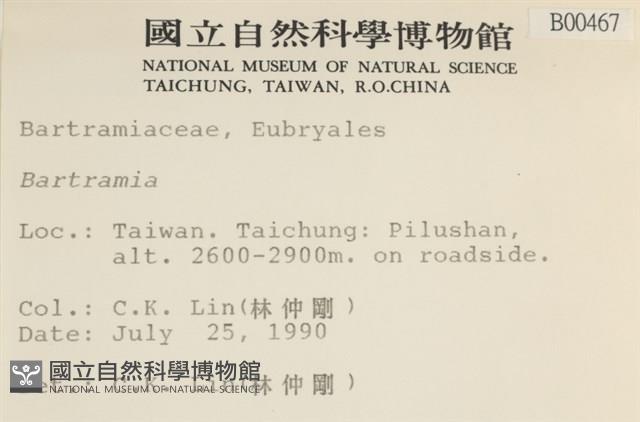 登錄號:B00000467藏品圖，第2張