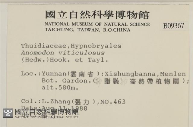 登錄號:B00009367藏品圖，第2張