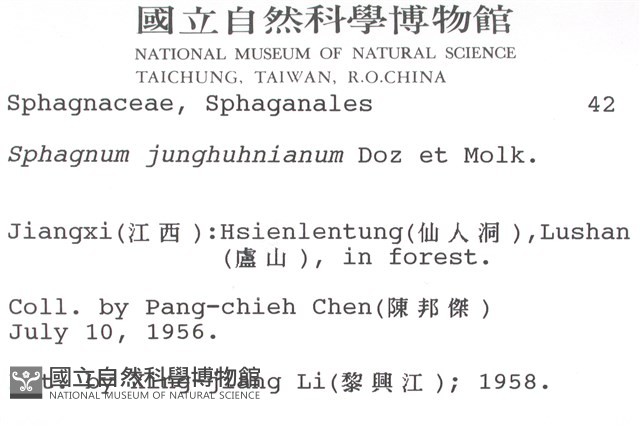 暖地泥炭蘚藏品圖，第2張