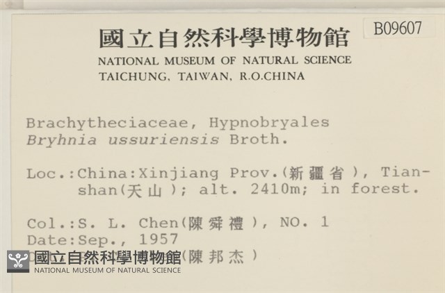 登錄號:B00009607藏品圖，第2張