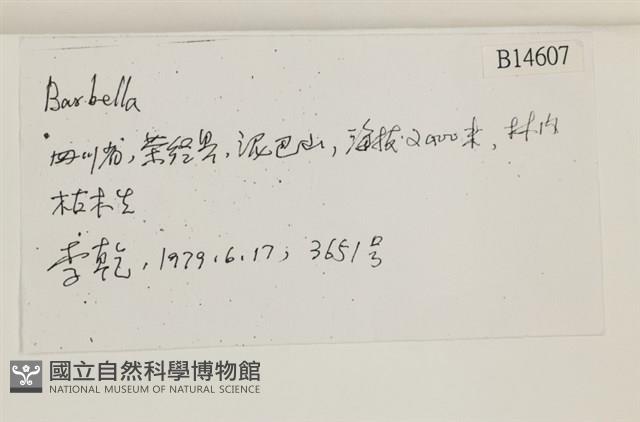 登錄號:B00014607藏品圖，第2張