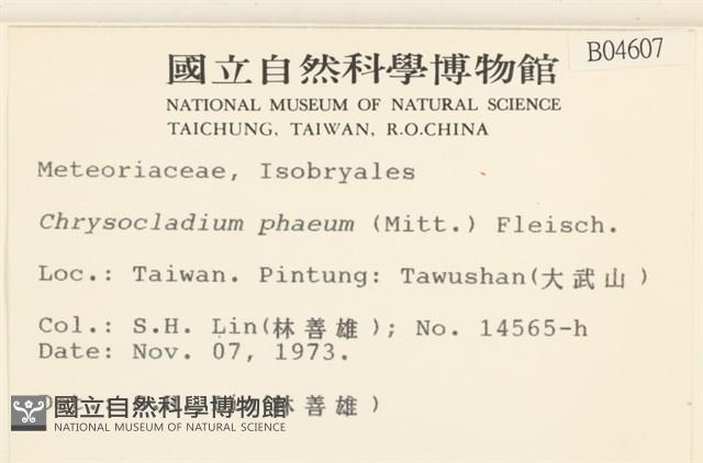 登錄號:B00004607藏品圖，第2張