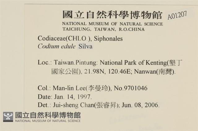 登錄號:A00001207藏品圖，第2張