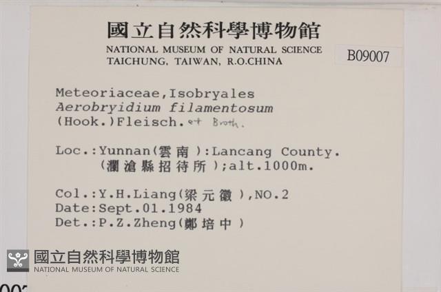 毛扭蘚藏品圖，第2張