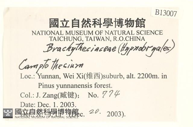 登錄號:B00013007藏品圖，第2張