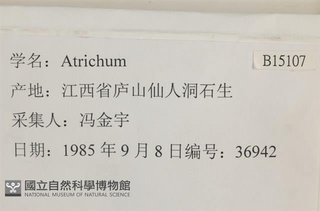 登錄號:B00015107藏品圖，第2張