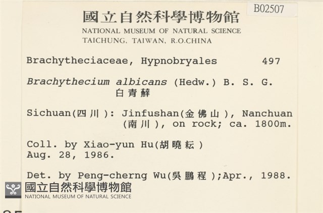 白青蘚藏品圖，第2張