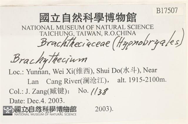 登錄號:B00017507藏品圖，第2張