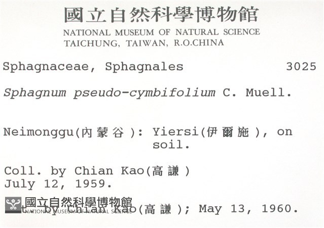 擬大泥炭蘚藏品圖，第2張