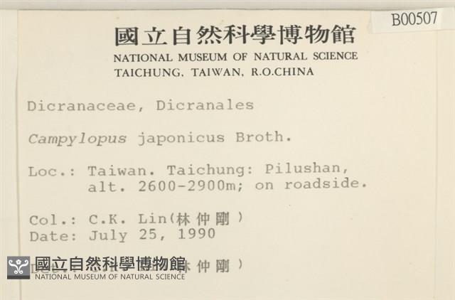 日本曲柄蘚藏品圖，第2張